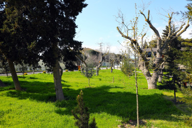 Suraxanı Rayon İcra Hakimiyyətinin başçısı Adil Əliyev Hövsan və Qaraçuxur qəsəbələrində aparılan genişmiqyaslı abadlıq-quruculuq işlərinin gedişatı ilə tanış olub