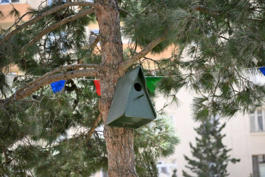 “Bizim həyət” layihəsi çərçivəsində yenilənmiş növbəti həyət sakinlərin istifadəsinə verilib