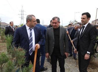 Suraxanıda 27 Sentyabr - Anım Gününə həsr olunmuş ağacəkmə aksiyası keçirilib