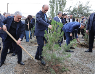 Suraxanıda 27 Sentyabr - Anım Gününə həsr olunmuş ağacəkmə aksiyası keçirilib