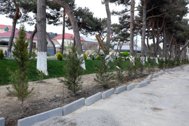 Suraxanı Rayon İcra Hakimiyyətinin başçısı Adil Əliyev Hövsan və Qaraçuxur qəsəbələrində aparılan genişmiqyaslı abadlıq-quruculuq işlərinin gedişatı ilə tanış olub