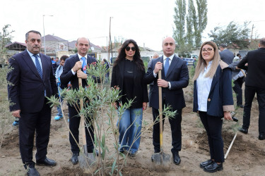 Suraxanıda 27 Sentyabr - Anım Gününə həsr olunmuş ağacəkmə aksiyası keçirilib