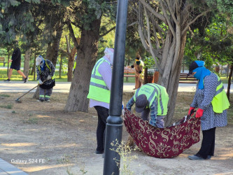 Suraxanı rayonunda iməcilik və abadlıq işləri davam edir
