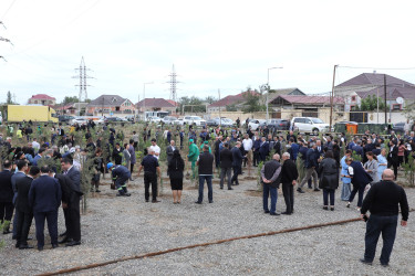 Suraxanıda 27 Sentyabr - Anım Gününə həsr olunmuş ağacəkmə aksiyası keçirilib