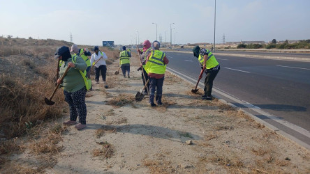 Suraxanı rayonunda iməcilik və abadlıq işləri davam edir