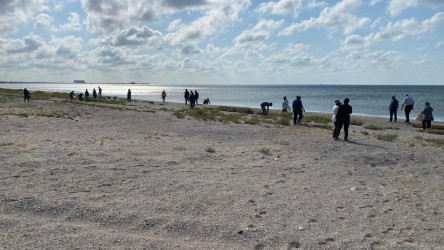 Xəzər dənizinin sahilində, Hövsan qəsəbəsi, “Antalya” çimərliyinin yaxınlığında təmizlik aksiyası keçirilmişdir