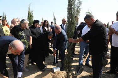 27 Sentyabr – Anım Günü ilə əlaqədar Suraxanı rayonunun Zığ qəsəbəsi, Bahar yaşayış sahəsində ağacəkmə aksiyası və “Qeyd-Sosial Maarifləndirmə” İctimai Birliyinin təşkilatçılığı ilə rəsm sərgisi keçirilib