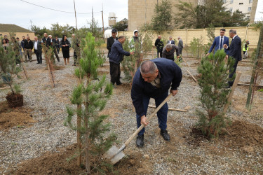 Suraxanıda 27 Sentyabr - Anım Gününə həsr olunmuş ağacəkmə aksiyası keçirilib