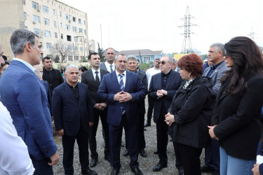 Suraxanıda 27 Sentyabr - Anım Gününə həsr olunmuş ağacəkmə aksiyası keçirilib