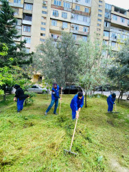 Mayın 9-da Bakı Şəhər İcra Hakimiyyətinin təşəbbüsü, Suraxanı Rayon İcra Hakimiyyətinin və Rayon Mənzil-Kommunal Təsərrüfatı Birliyinin birgə təşkilatçılığı ilə rayon ərazisində genişmiqyaslı ümumrayon iməciliyi keçirilib