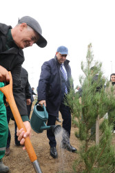 Noyabrın 4-də Suraxanı Rayon İcra Hakimiyyətinin təşkilatçılığı ilə “Konstitusiya və Suverenlik ili” çərçivəsində Zəfər Gününə həsr olunmuş ağacəkmə aksiyası keçirilib