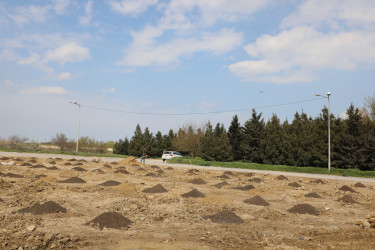 Ətraf mühitin qorunması və yaşıllıq zonalarının genişləndirilməsi məqsədilə Suraxanı rayonu, Bahar yaşayış sahəsində ağacəkmə aksiyası təşkil olunub