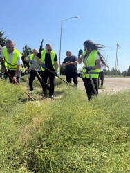 Suraxanı rayonunda iməclik və abadlıq işləri davam edir