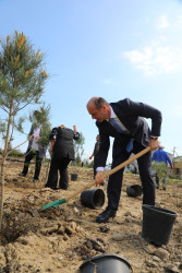 Ətraf mühitin qorunması və yaşıllıq zonalarının genişləndirilməsi məqsədilə Suraxanı rayonu, Bahar yaşayış sahəsində ağacəkmə aksiyası təşkil olunub