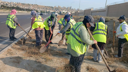 Suraxanı rayonunda iməcilik və abadlıq işləri davam edir