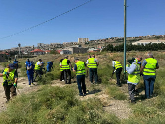 Suraxanı rayonunda iməclik və abadlıq işləri davam edir