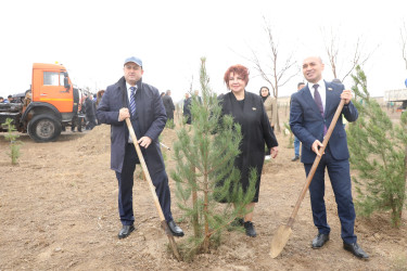 Noyabrın 4-də Suraxanı Rayon İcra Hakimiyyətinin təşkilatçılığı ilə “Konstitusiya və Suverenlik ili” çərçivəsində Zəfər Gününə həsr olunmuş ağacəkmə aksiyası keçirilib