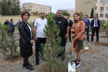 Suraxanıda 27 Sentyabr - Anım Gününə həsr olunmuş ağacəkmə aksiyası keçirilib