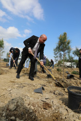 Ətraf mühitin qorunması və yaşıllıq zonalarının genişləndirilməsi məqsədilə Suraxanı rayonu, Bahar yaşayış sahəsində ağacəkmə aksiyası təşkil olunub