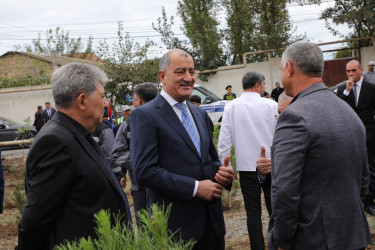 Suraxanıda 27 Sentyabr - Anım Gününə həsr olunmuş ağacəkmə aksiyası keçirilib