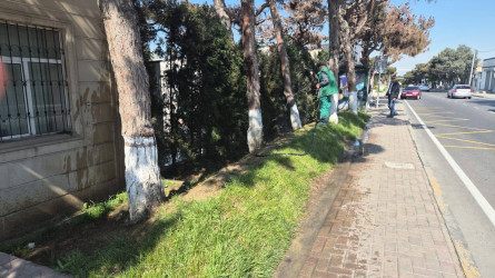 Mayın 9-da Bakı Şəhər İcra Hakimiyyətinin təşəbbüsü, Suraxanı Rayon İcra Hakimiyyətinin və Rayon Mənzil-Kommunal Təsərrüfatı Birliyinin birgə təşkilatçılığı ilə rayon ərazisində genişmiqyaslı ümumrayon iməciliyi keçirilib