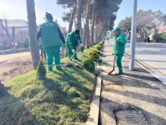 Suraxanıda aparılan genişmiqyaslı abadlıq və təmizlik işləri davam etdirilir