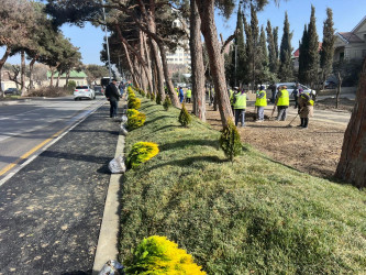 Suraxanıda aparılan genişmiqyaslı abadlıq və təmizlik işləri davam etdirilir