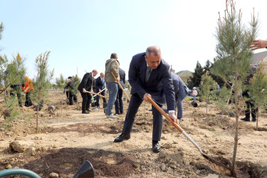 Ətraf mühitin qorunması və yaşıllıq zonalarının genişləndirilməsi məqsədilə Suraxanı rayonu, Bahar yaşayış sahəsində ağacəkmə aksiyası təşkil olunub
