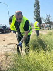 Suraxanı rayonunda iməclik və abadlıq işləri davam edir