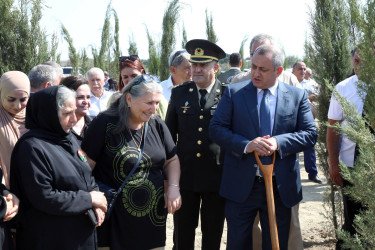 27 Sentyabr – Anım Günü ilə əlaqədar Suraxanı rayonunun Zığ qəsəbəsi, Bahar yaşayış sahəsində ağacəkmə aksiyası və “Qeyd-Sosial Maarifləndirmə” İctimai Birliyinin təşkilatçılığı ilə rəsm sərgisi keçirilib
