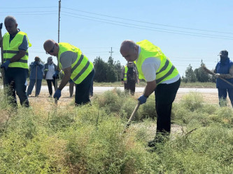 Suraxanı rayonunda iməclik və abadlıq işləri davam edir