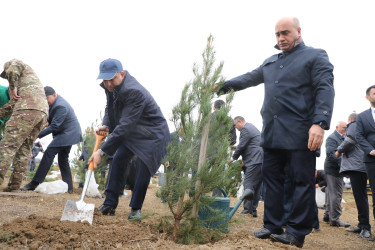 Noyabrın 4-də Suraxanı Rayon İcra Hakimiyyətinin təşkilatçılığı ilə “Konstitusiya və Suverenlik ili” çərçivəsində Zəfər Gününə həsr olunmuş ağacəkmə aksiyası keçirilib