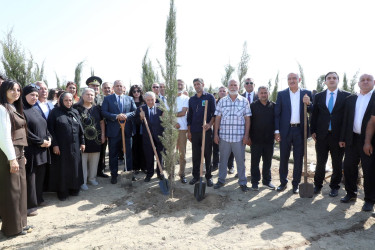 27 Sentyabr – Anım Günü ilə əlaqədar Suraxanı rayonunun Zığ qəsəbəsi, Bahar yaşayış sahəsində ağacəkmə aksiyası və “Qeyd-Sosial Maarifləndirmə” İctimai Birliyinin təşkilatçılığı ilə rəsm sərgisi keçirilib