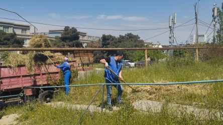 Mayın 9-da Bakı Şəhər İcra Hakimiyyətinin təşəbbüsü, Suraxanı Rayon İcra Hakimiyyətinin və Rayon Mənzil-Kommunal Təsərrüfatı Birliyinin birgə təşkilatçılığı ilə rayon ərazisində genişmiqyaslı ümumrayon iməciliyi keçirilib