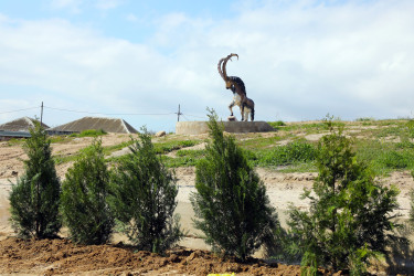 Suraxanı Rayon İcra Hakimiyyətinin başçısı Adil Əliyev Hövsan və Qaraçuxur qəsəbələrində aparılan genişmiqyaslı abadlıq-quruculuq işlərinin gedişatı ilə tanış olub