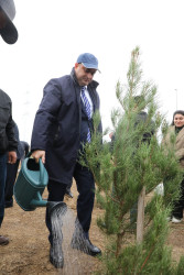 Noyabrın 4-də Suraxanı Rayon İcra Hakimiyyətinin təşkilatçılığı ilə “Konstitusiya və Suverenlik ili” çərçivəsində Zəfər Gününə həsr olunmuş ağacəkmə aksiyası keçirilib
