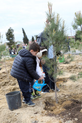 Ətraf mühitin qorunması və yaşıllıq zonalarının genişləndirilməsi məqsədilə Suraxanı rayonu, Bahar yaşayış sahəsində ağacəkmə aksiyası təşkil olunub