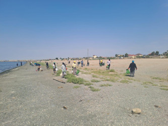 “Təmiz ölkəm” devizi altında keçirilən Ümumrespublika Təmizlik Marafonu çərçivəsində növbəti dəfə Xəzər dənizinin Suraxanı rayonu Hövsan sahili tullantılardan təmizlənib