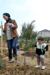 Ətraf mühitin qorunması və yaşıllıq zonalarının genişləndirilməsi məqsədilə Suraxanı rayonu, Bahar yaşayış sahəsində ağacəkmə aksiyası təşkil olunub