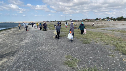 Xəzər dənizinin sahilində, Hövsan qəsəbəsi, “Antalya” çimərliyinin yaxınlığında təmizlik aksiyası keçirilmişdir