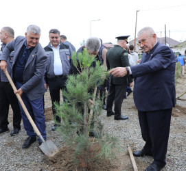 Suraxanıda 27 Sentyabr - Anım Gününə həsr olunmuş ağacəkmə aksiyası keçirilib