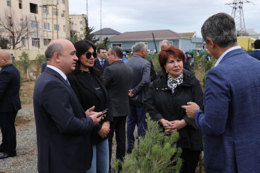 Suraxanıda 27 Sentyabr - Anım Gününə həsr olunmuş ağacəkmə aksiyası keçirilib