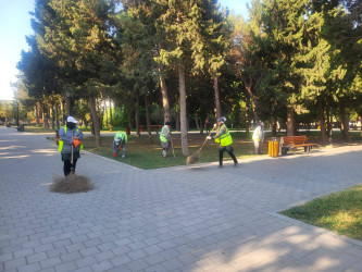 Suraxanı rayonunda iməcilik və abadlıq işləri davam edir